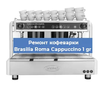 Ремонт кофемашины Brasilia Roma Cappuccino 1 gr в Красноярске